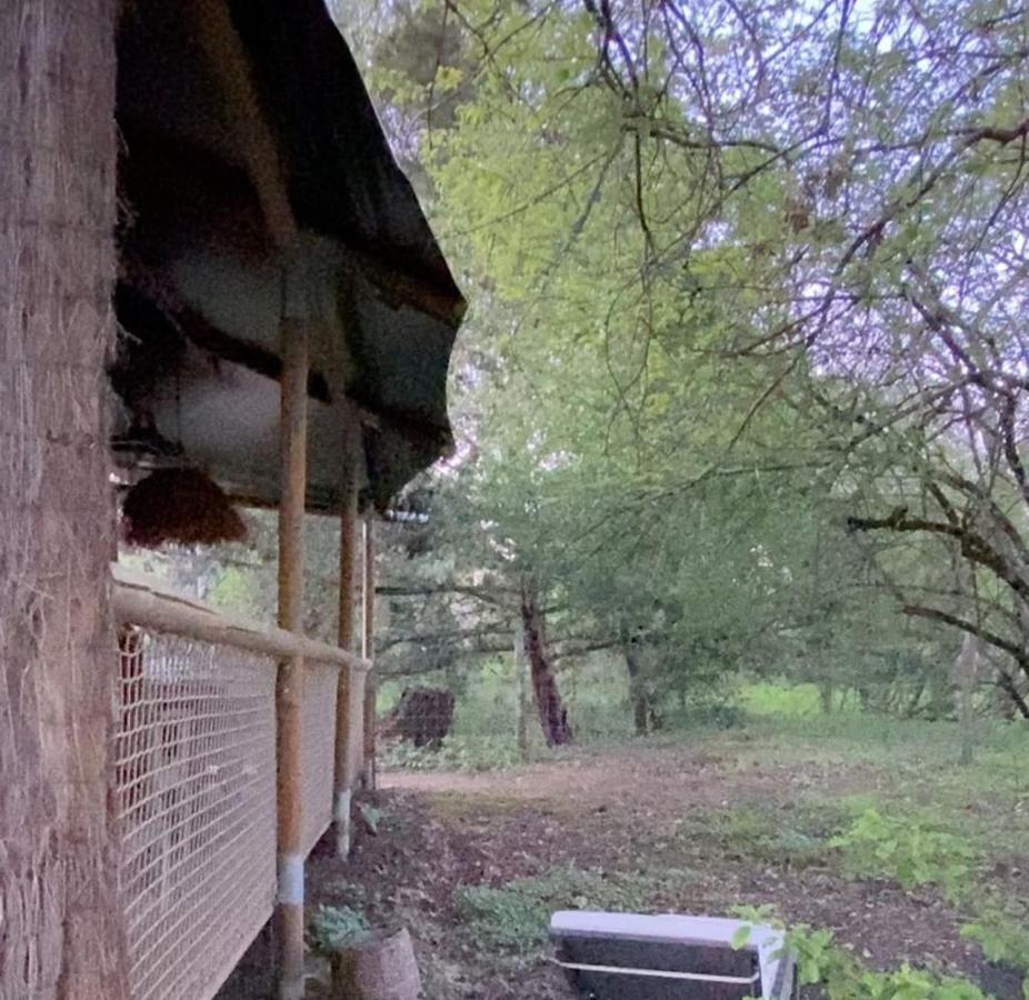 Ecolodge Beauregard Treigny Bagian luar foto