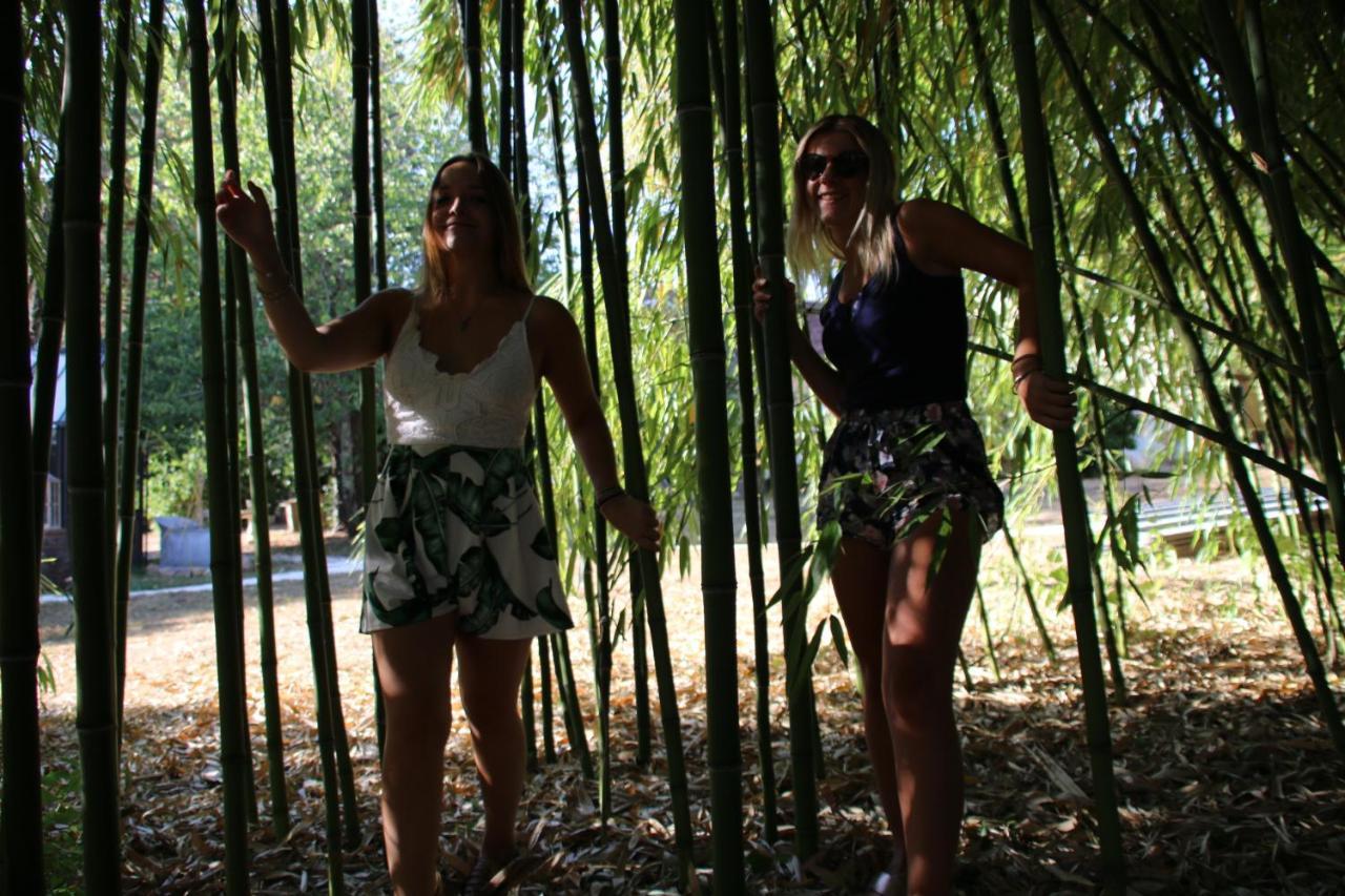 Ecolodge Beauregard Treigny Bagian luar foto