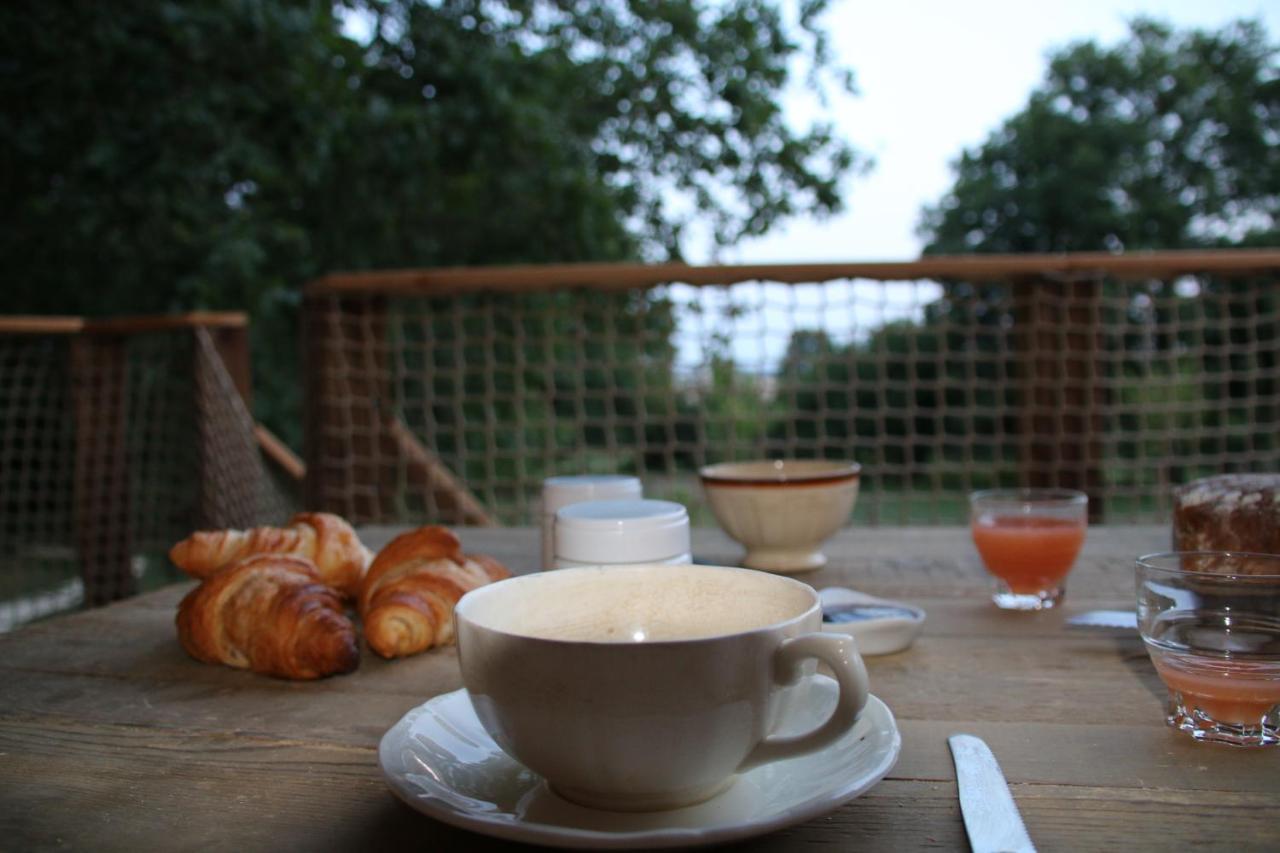 Ecolodge Beauregard Treigny Bagian luar foto