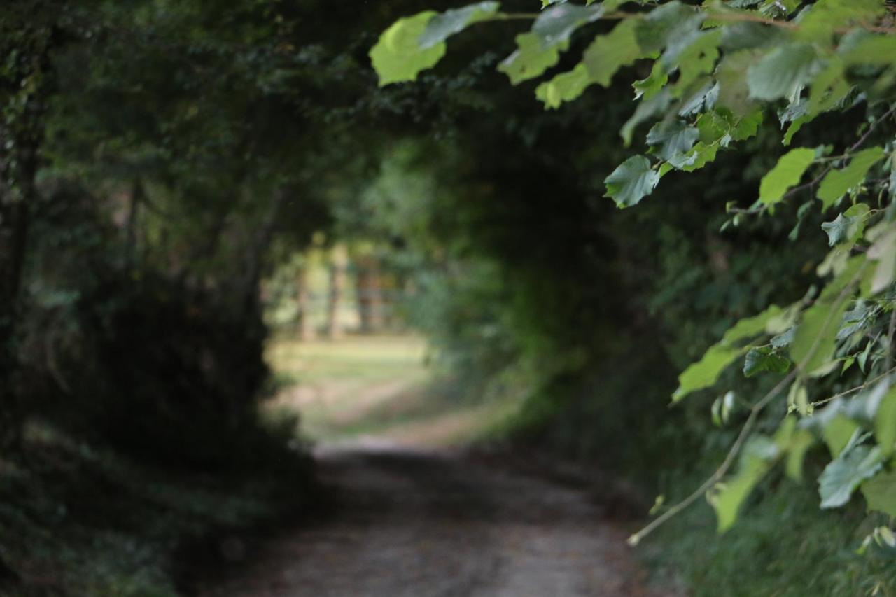 Ecolodge Beauregard Treigny Bagian luar foto