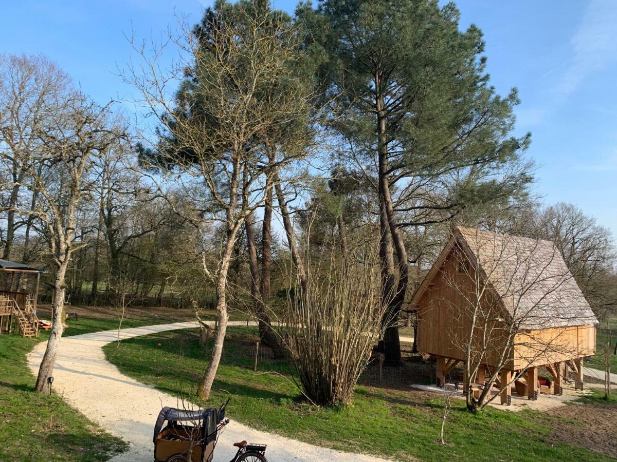 Ecolodge Beauregard Treigny Bagian luar foto