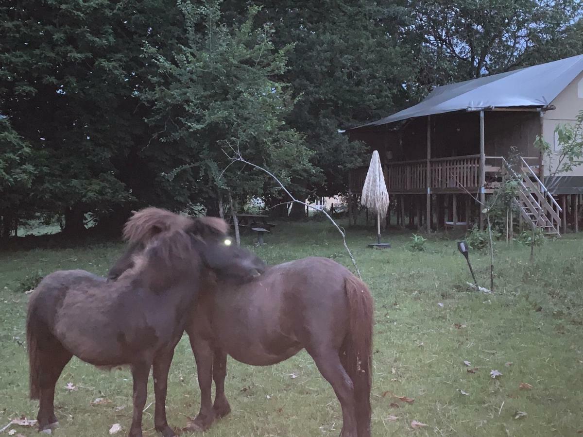 Ecolodge Beauregard Treigny Bagian luar foto
