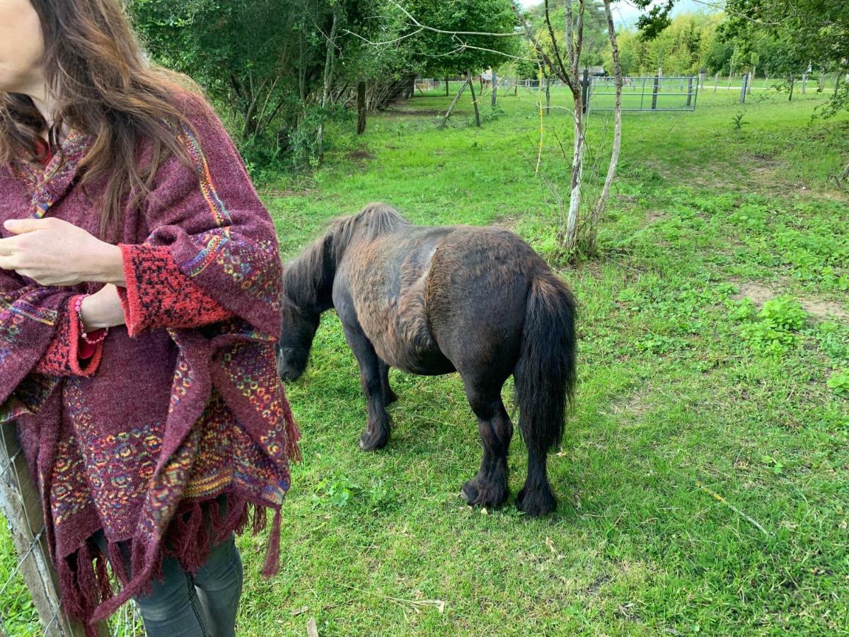 Ecolodge Beauregard Treigny Bagian luar foto