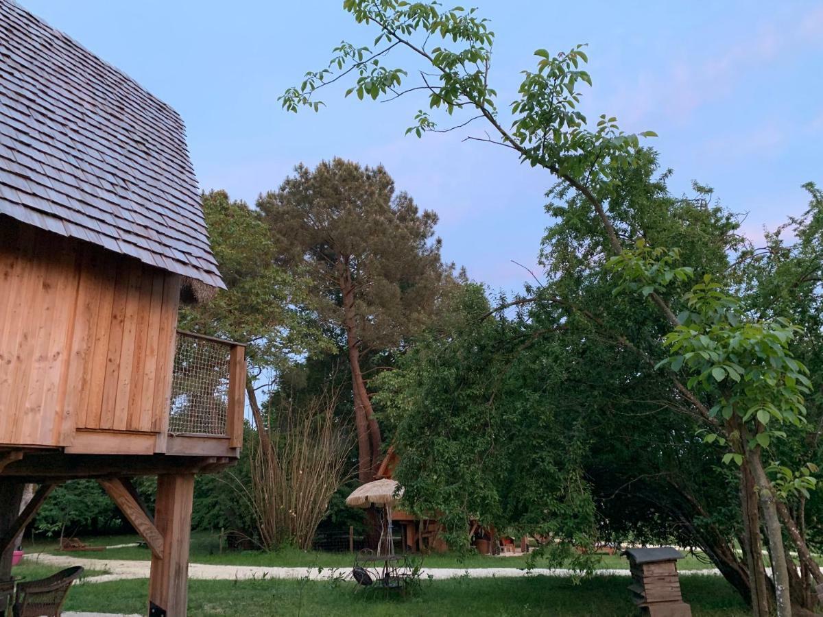 Ecolodge Beauregard Treigny Bagian luar foto
