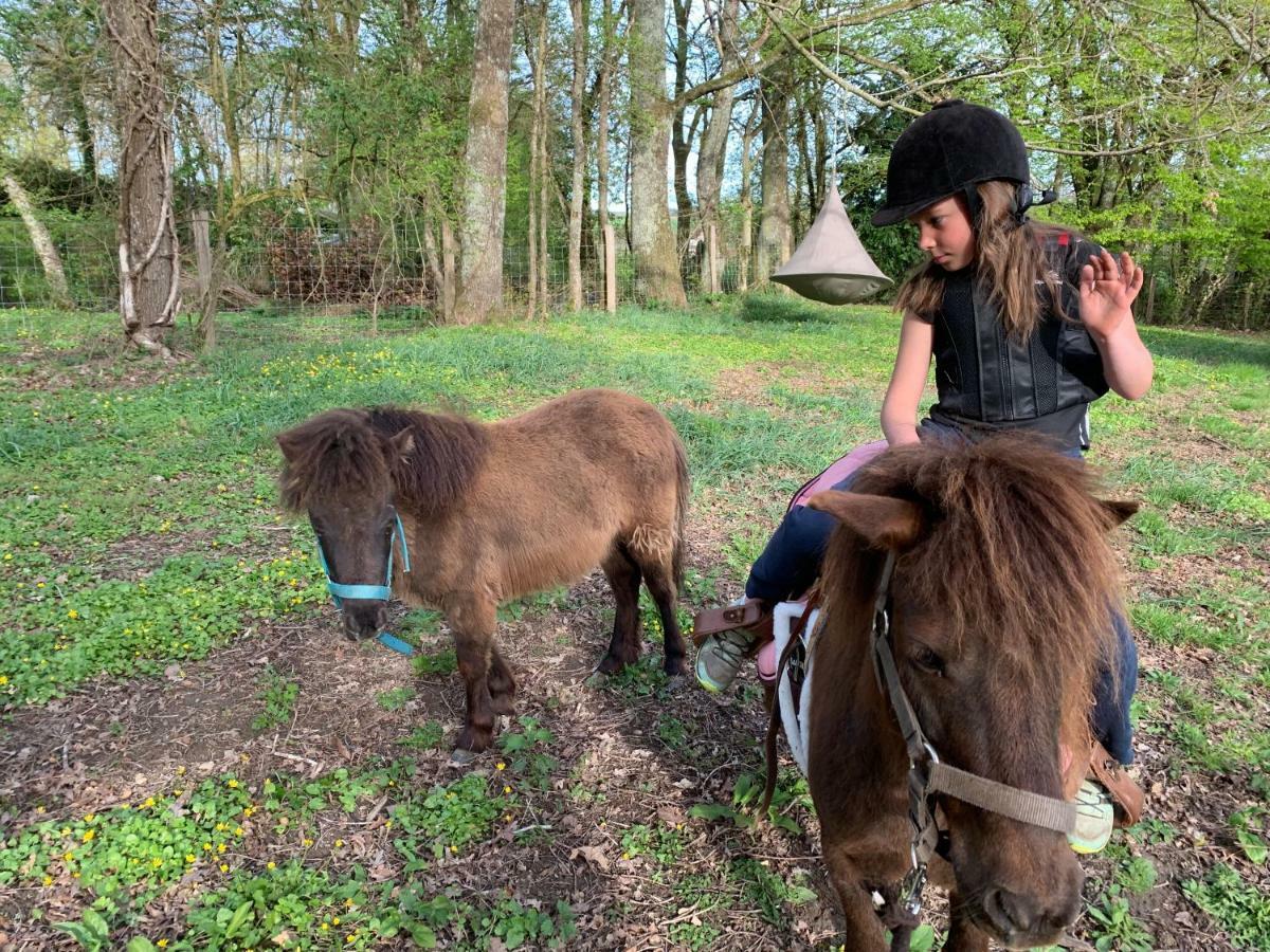 Ecolodge Beauregard Treigny Bagian luar foto